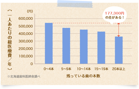 残っている歯の本数